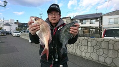 まこと渡船 釣果