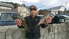 まこと渡船 釣果