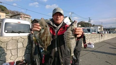 まこと渡船 釣果