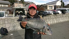 まこと渡船 釣果