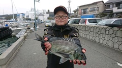 まこと渡船 釣果