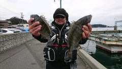 まこと渡船 釣果