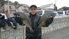 まこと渡船 釣果