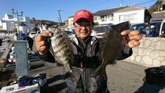 まこと渡船 釣果