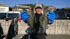 まこと渡船 釣果