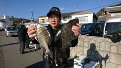 まこと渡船 釣果