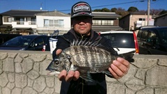 まこと渡船 釣果