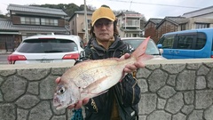 まこと渡船 釣果