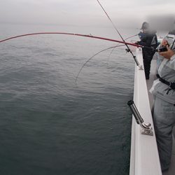 釣友丸 釣果