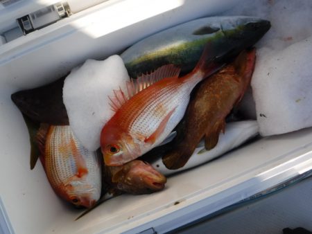 BlueNote Fishing Taxi 釣果