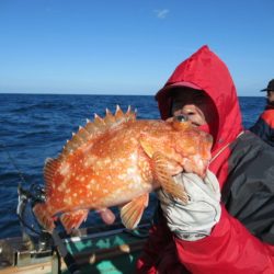 真祐丸 （しんゆうまる） 釣果