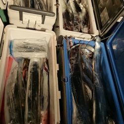 スカイマリン 釣果