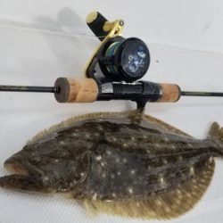 暁〜akatsuki〜 釣果