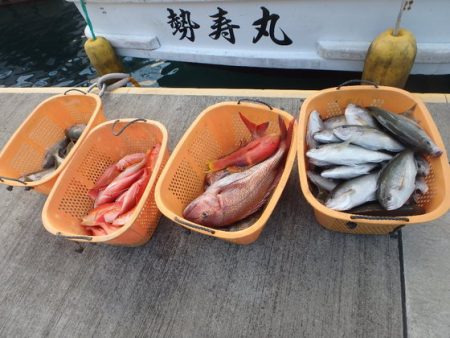 フィッシングハウス伊藤 釣果