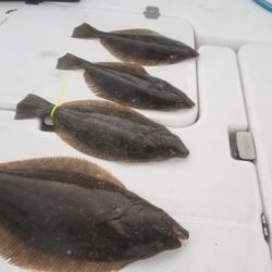 暁〜akatsuki〜 釣果