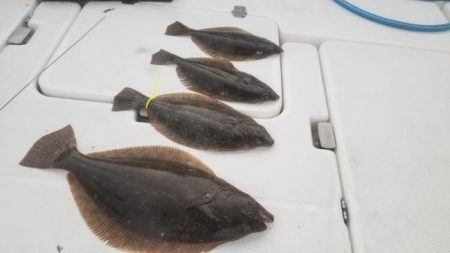 暁〜akatsuki〜 釣果