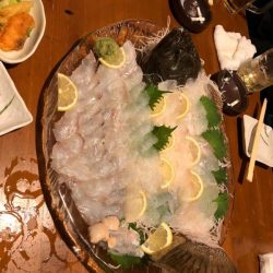 暁〜akatsuki〜 釣果