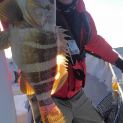 遊漁船 新鋭丸 釣果