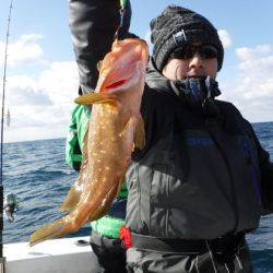 ＢｌｕｅＮｏｔｅ　Ｆｉｓｈｉｎｇ　Ｔａｘｉ 釣果