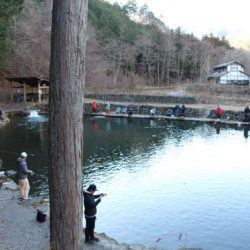 小菅トラウトガーデン 釣果