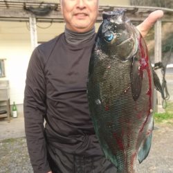 千津丸 釣果