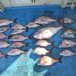 フィッシングガイド りょう 釣果