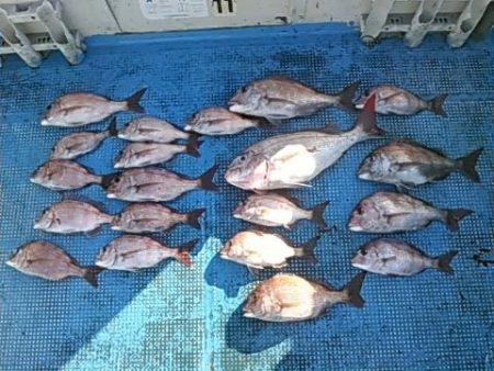 フィッシングガイド りょう 釣果