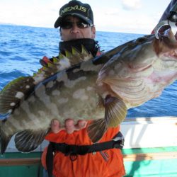 真祐丸 (しんゆうまる) 釣果