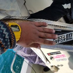 遊漁船　ニライカナイ 釣果