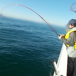 釣友丸 釣果
