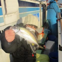 あい川丸 釣果