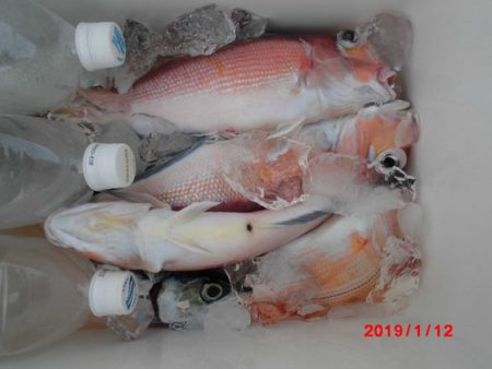 大進丸（新潟） 釣果