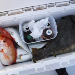 BlueNote Fishing Taxi 釣果