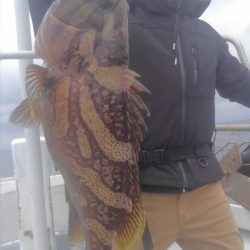 遊漁船 新鋭丸 釣果