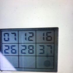 フィッシングボートACE(エース) 釣果