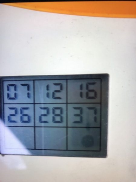 フィッシングボートACE(エース) 釣果