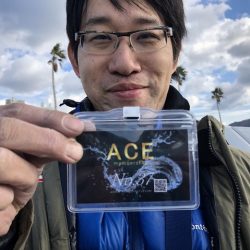 フィッシングボートACE(エース) 釣果