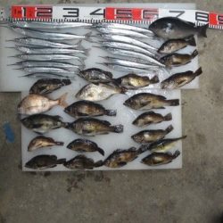 のとじま臨海公園海づりセンター 釣果