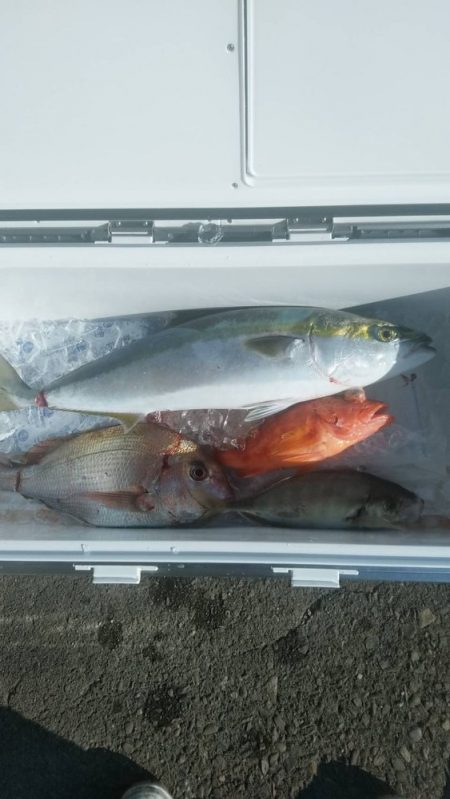 太幸丸 釣果