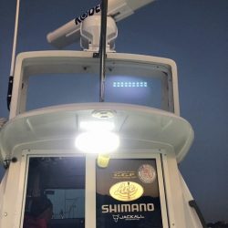 フィッシングボートACE（エース） 釣果