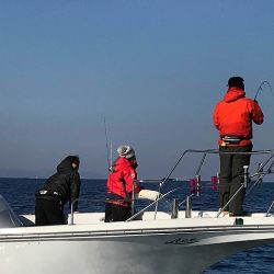 フィッシングボートACE（エース） 釣果