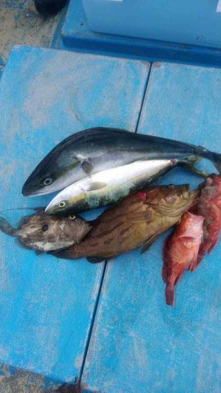 太幸丸 釣果
