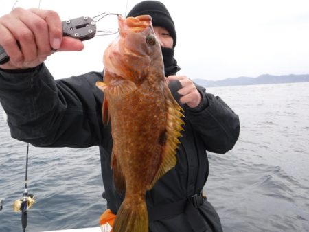 ＢｌｕｅＮｏｔｅ　Ｆｉｓｈｉｎｇ　Ｔａｘｉ 釣果