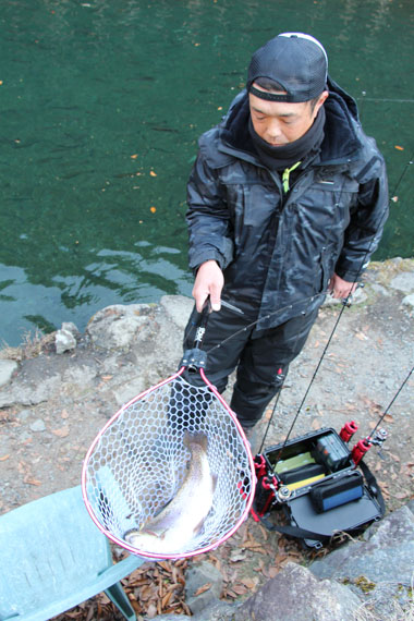 小菅トラウトガーデン 釣果