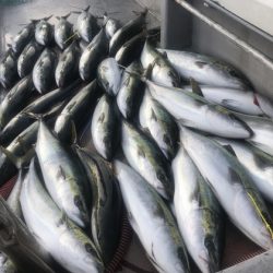 寿裕 (YOSHIHIRO) 釣果