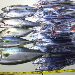 Hit Rush(ヒット ラッシュ) 釣果