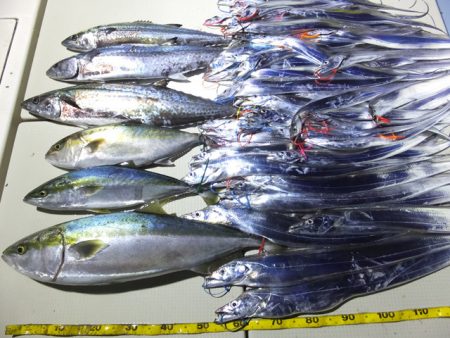 Hit Rush(ヒット ラッシュ） 釣果…