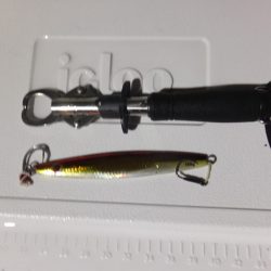 Hit Rush(ヒット ラッシュ) 釣果