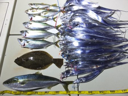 Hit Rush(ヒット ラッシュ） 釣果…