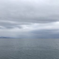 釣船 浦島太郎 釣果